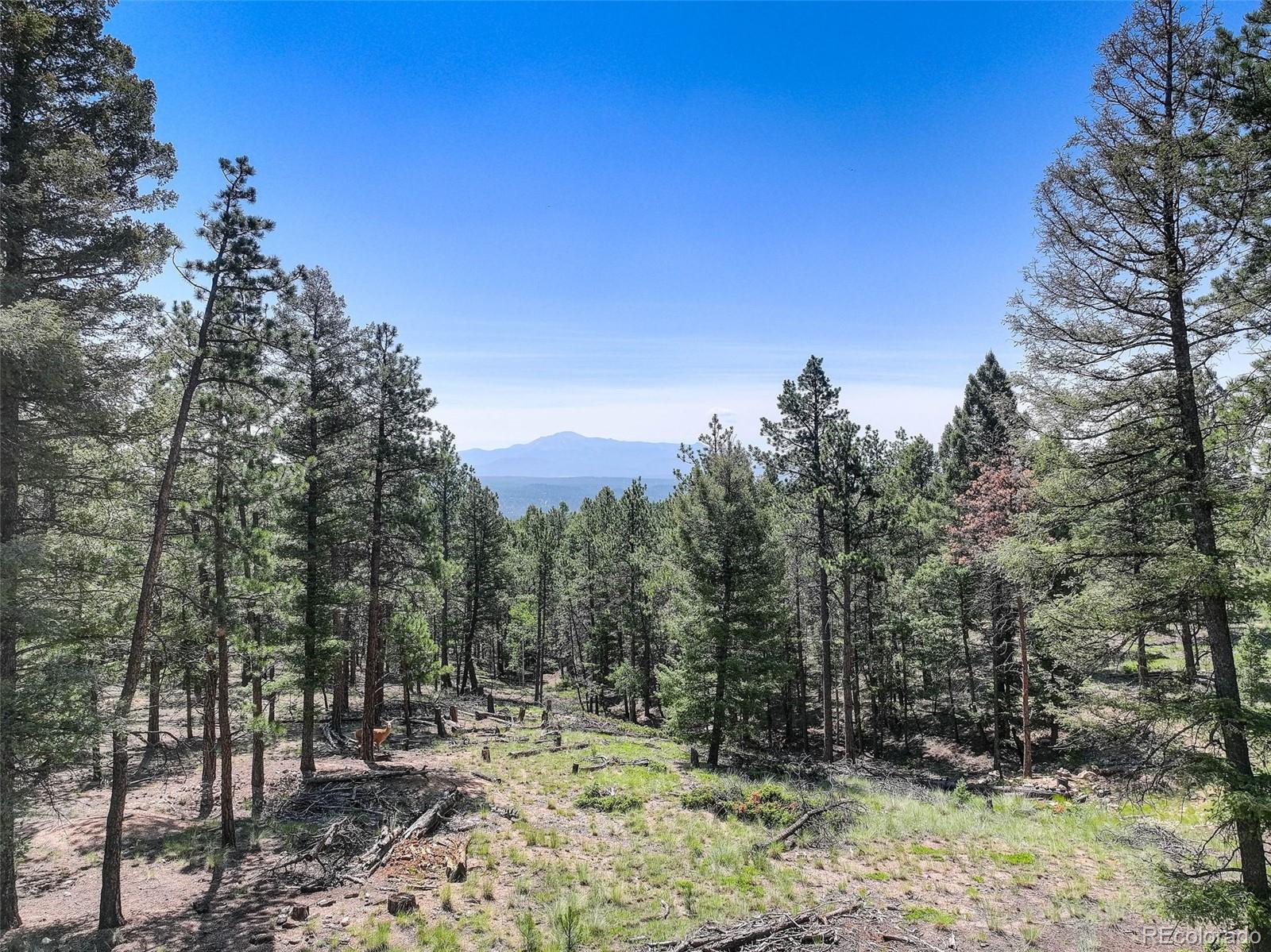 1002 Indian Creek Road Florissant CO 80816