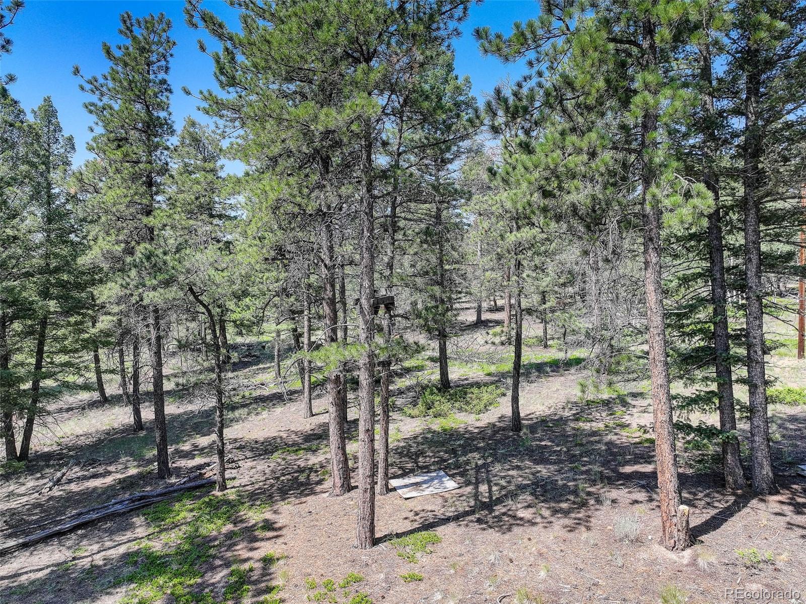 1002 Indian Creek Road Florissant CO 80816