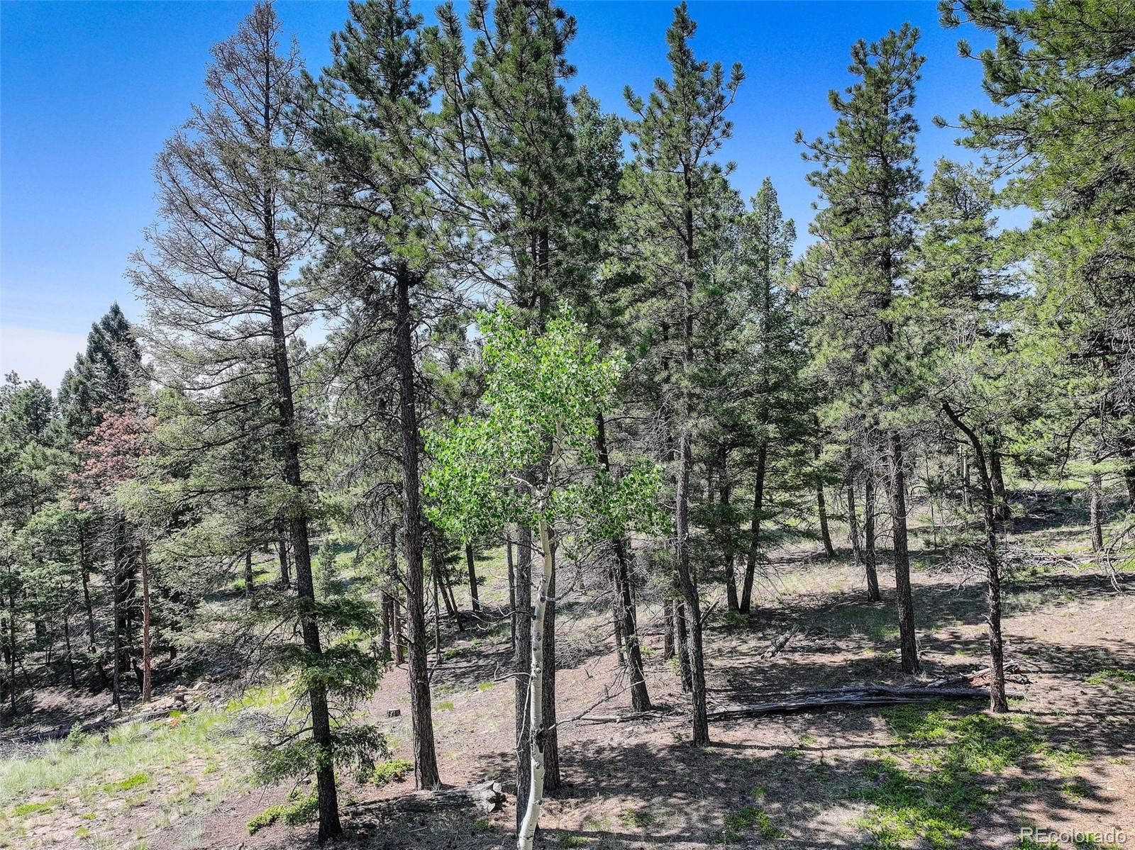 1002 Indian Creek Road Florissant CO 80816