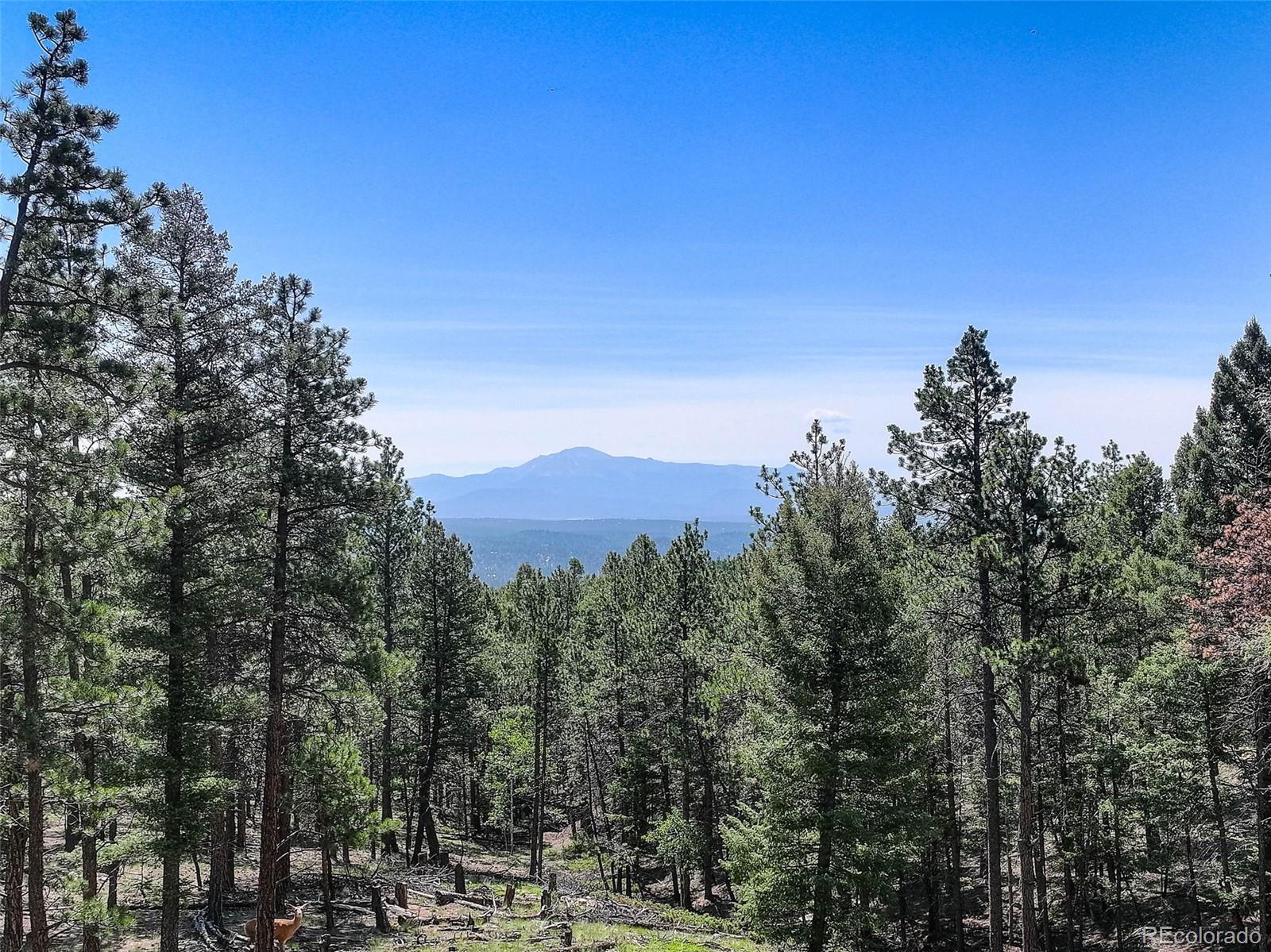 1002 Indian Creek Road Florissant CO 80816