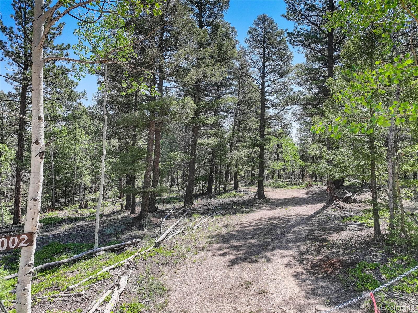 1002 Indian Creek Road Florissant CO 80816