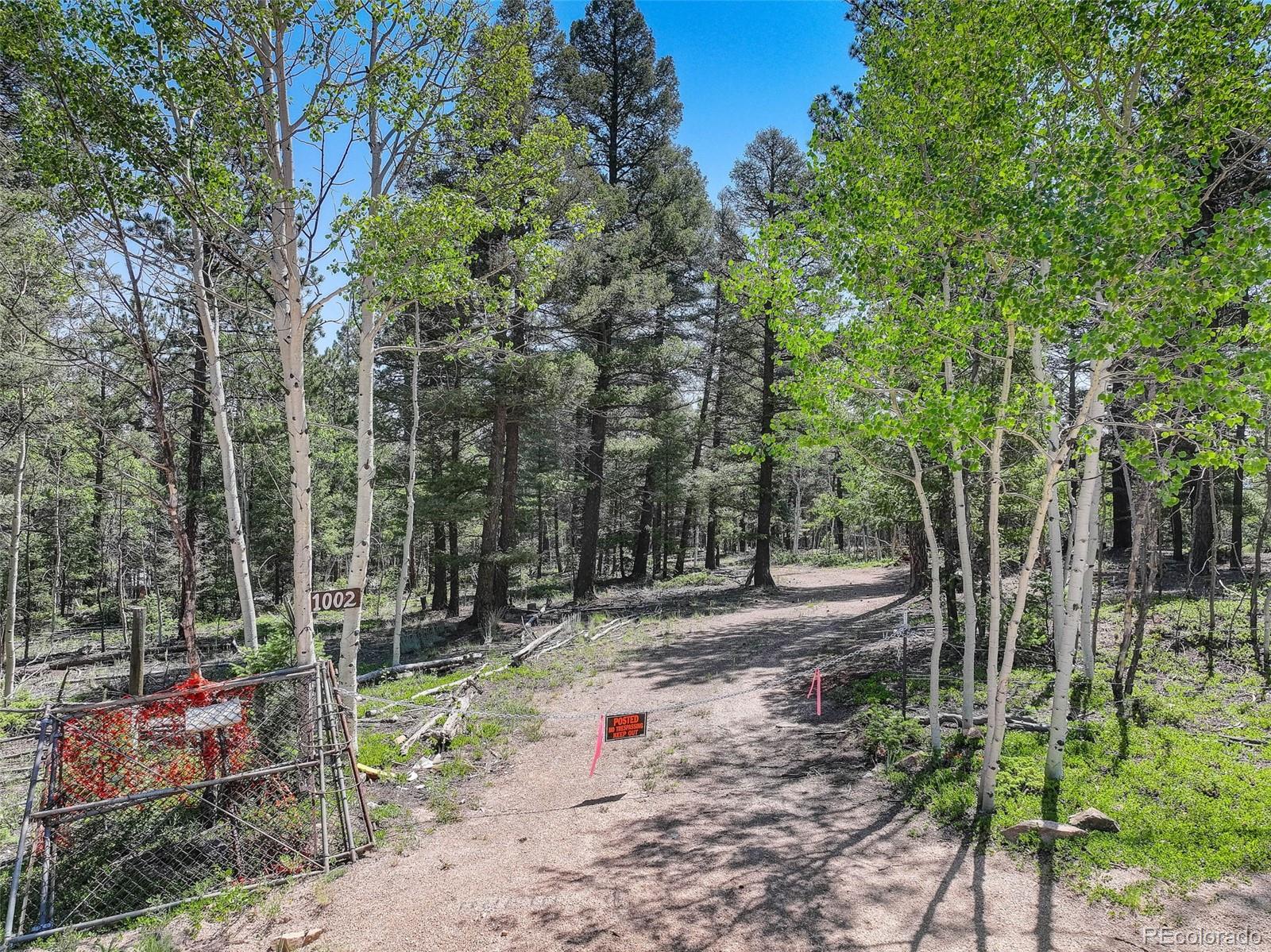 1002 Indian Creek Road Florissant CO 80816