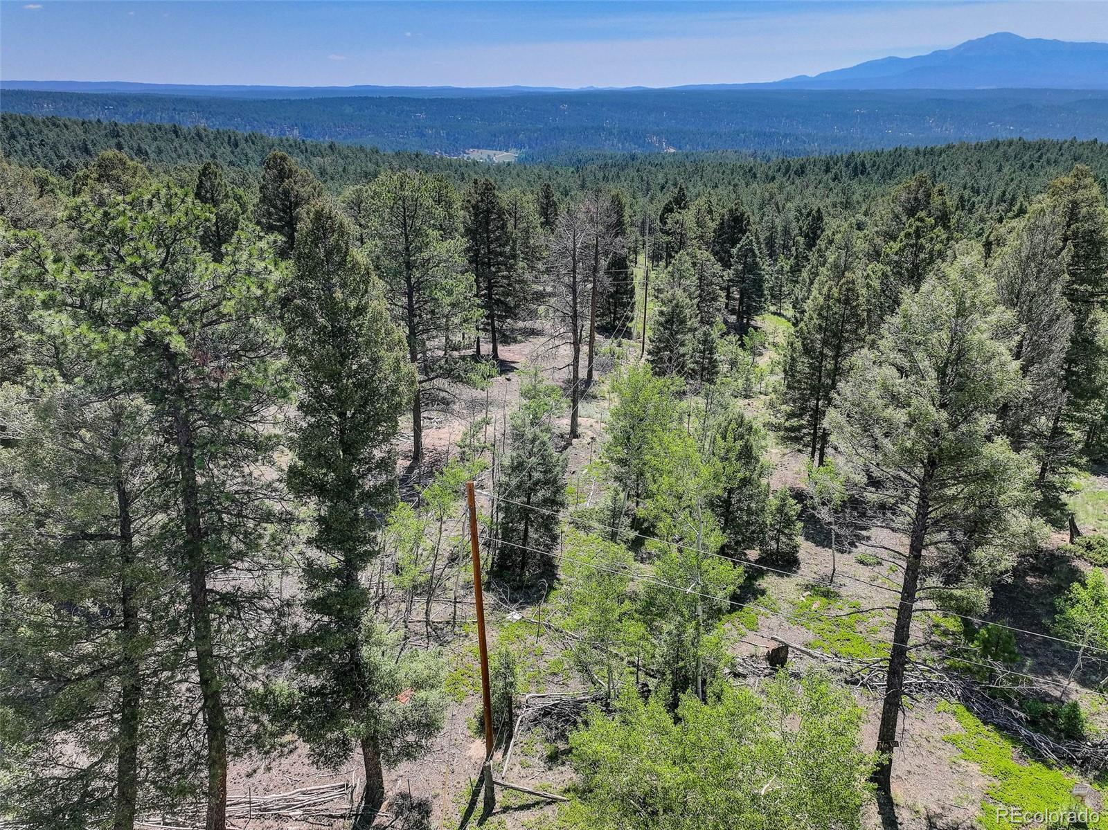 1002 Indian Creek Road Florissant CO 80816