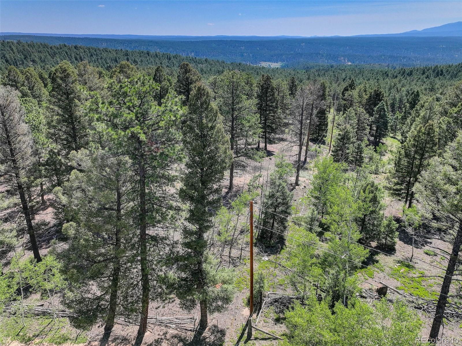 1002 Indian Creek Road Florissant CO 80816