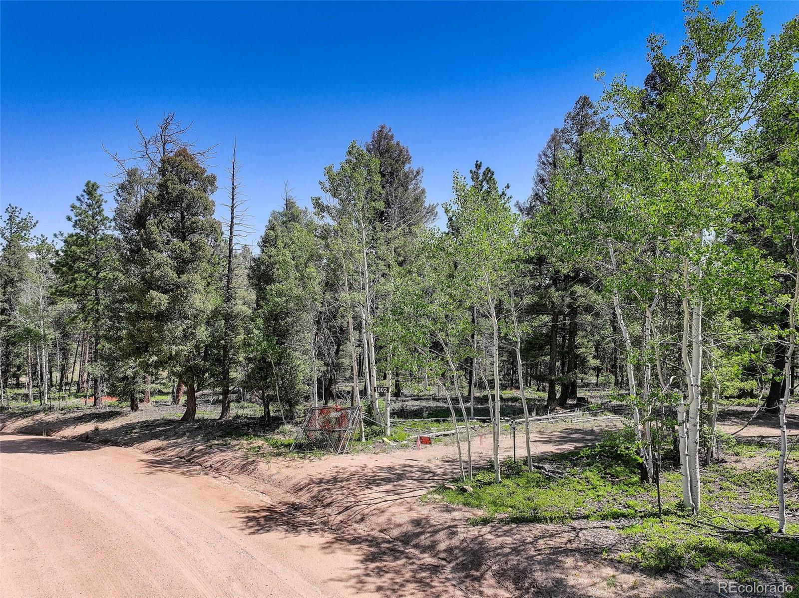 1002 Indian Creek Road Florissant CO 80816