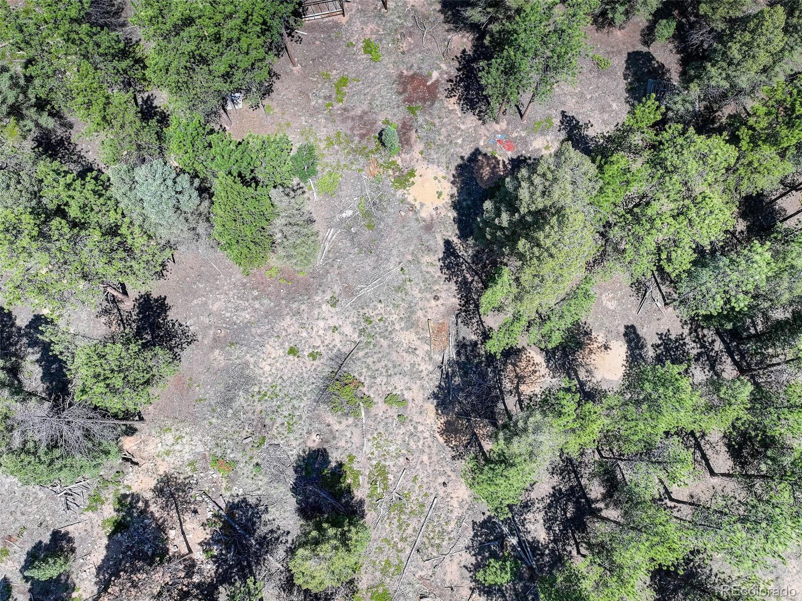 1002 Indian Creek Road Florissant CO 80816