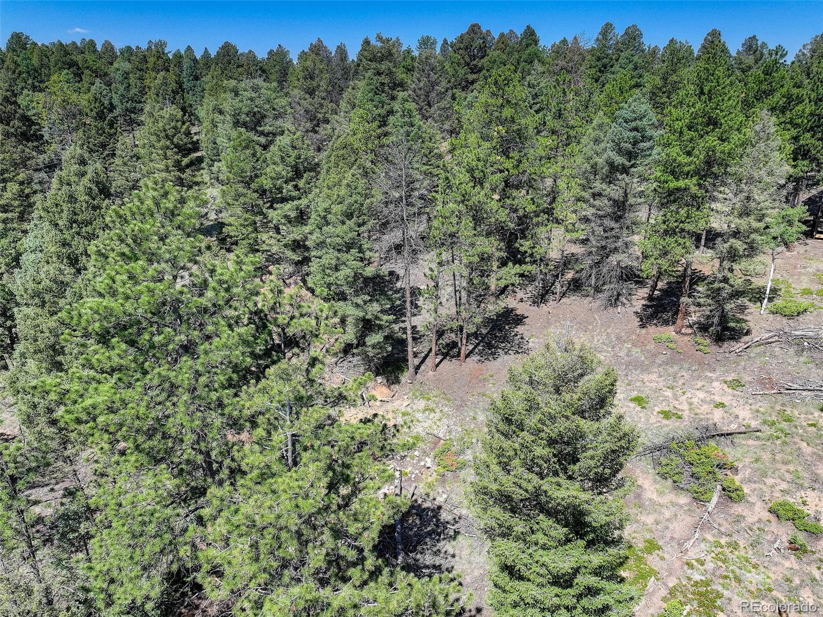 1002 Indian Creek Road Florissant CO 80816