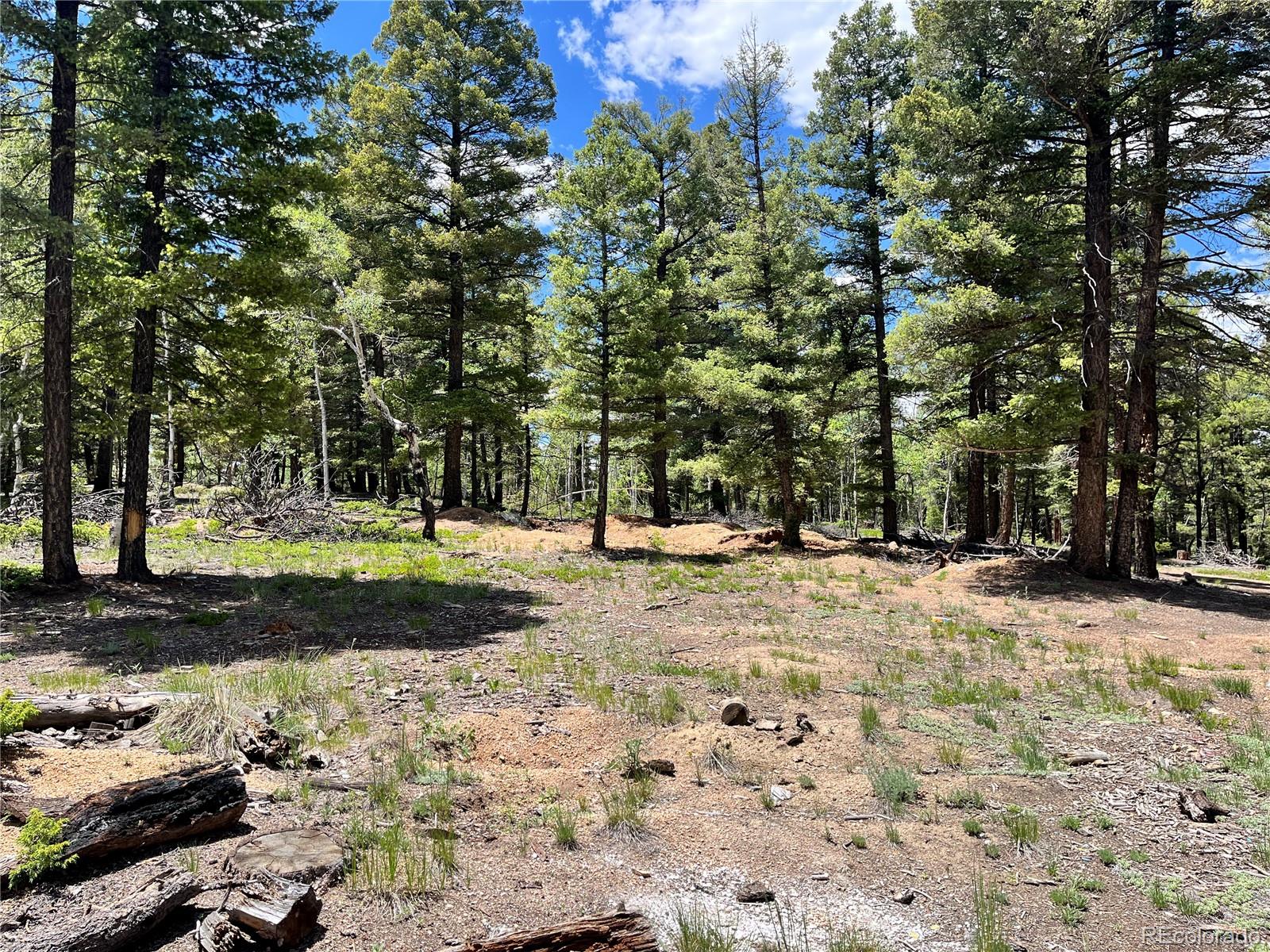 1002 Indian Creek Road Florissant CO 80816