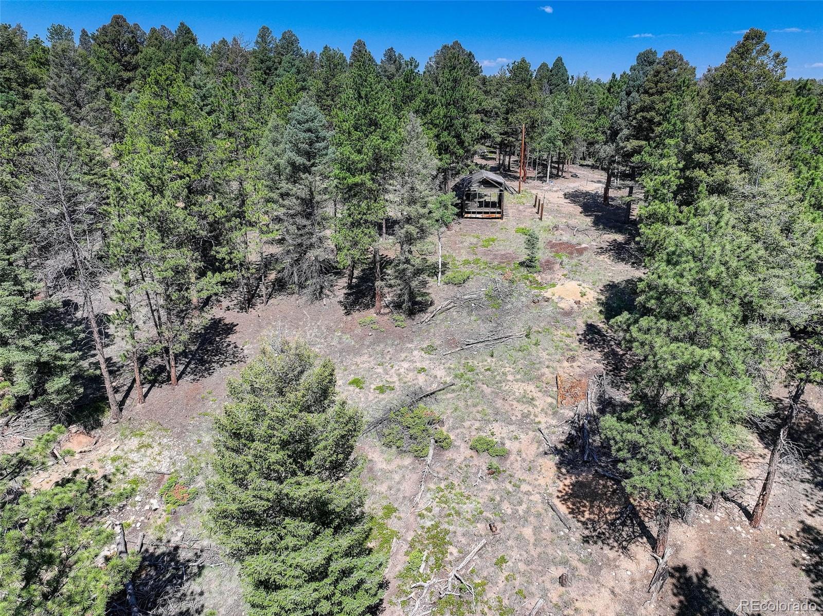 1002 Indian Creek Road Florissant CO 80816