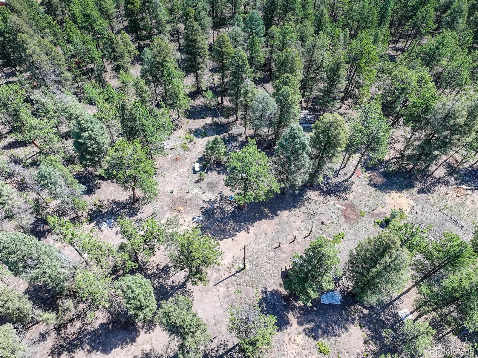 1002 Indian Creek Road Florissant CO 80816