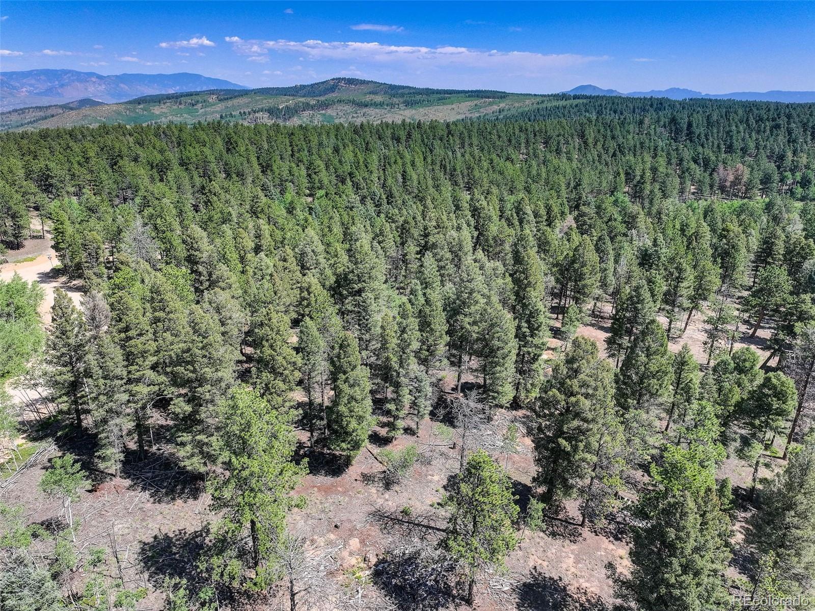 1002 Indian Creek Road Florissant CO 80816