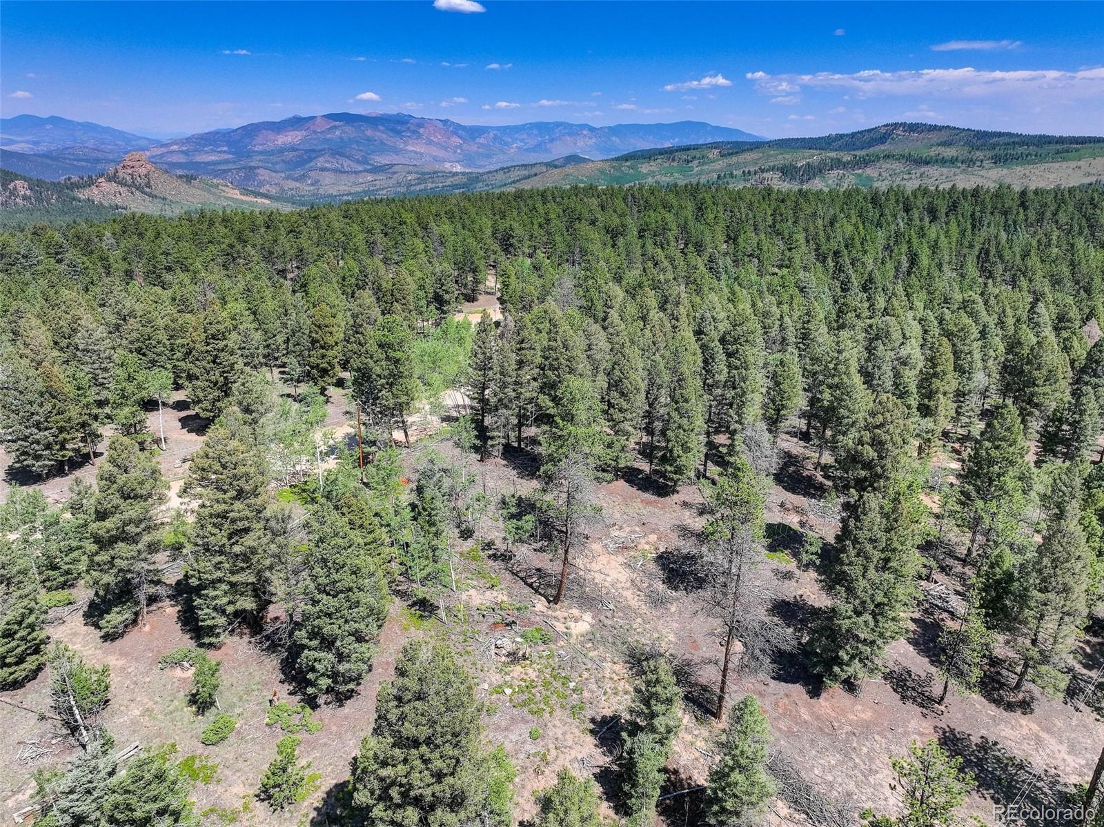 1002 Indian Creek Road Florissant CO 80816