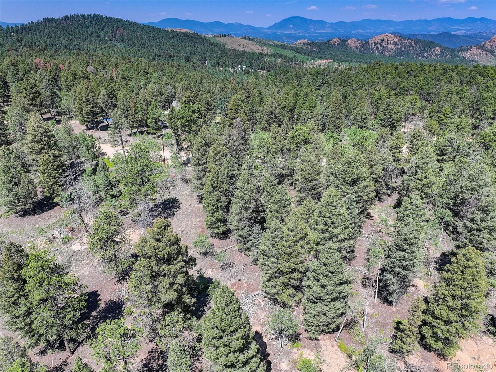 1002 Indian Creek Road Florissant CO 80816