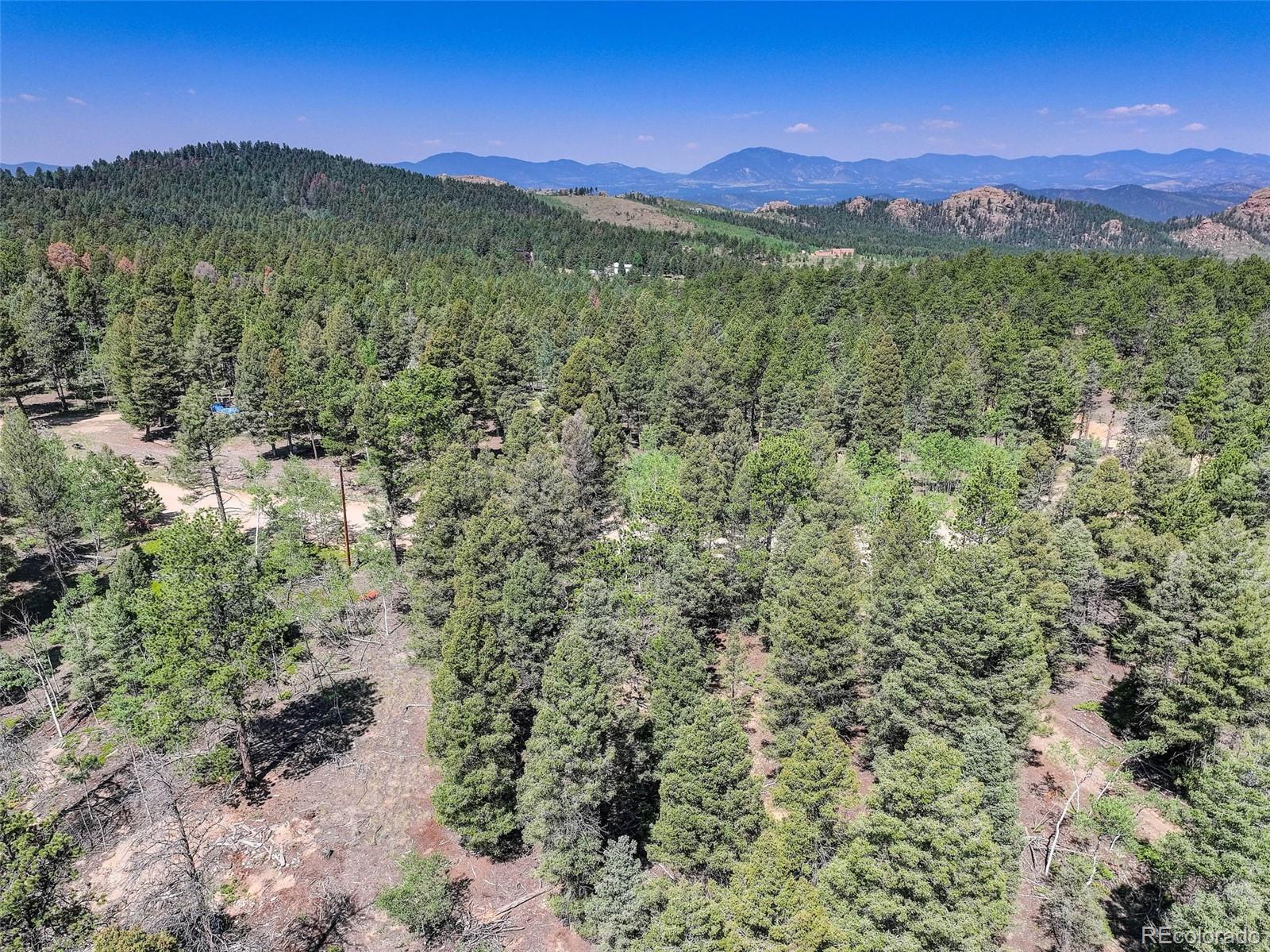 1002 Indian Creek Road Florissant CO 80816