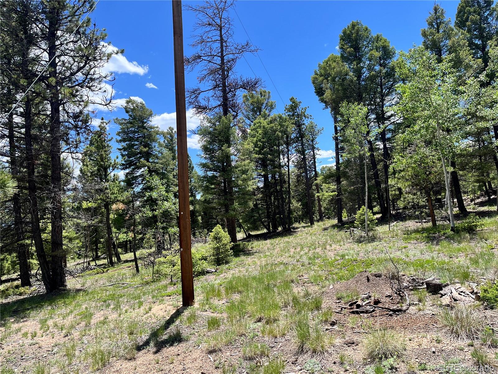1002 Indian Creek Road Florissant CO 80816