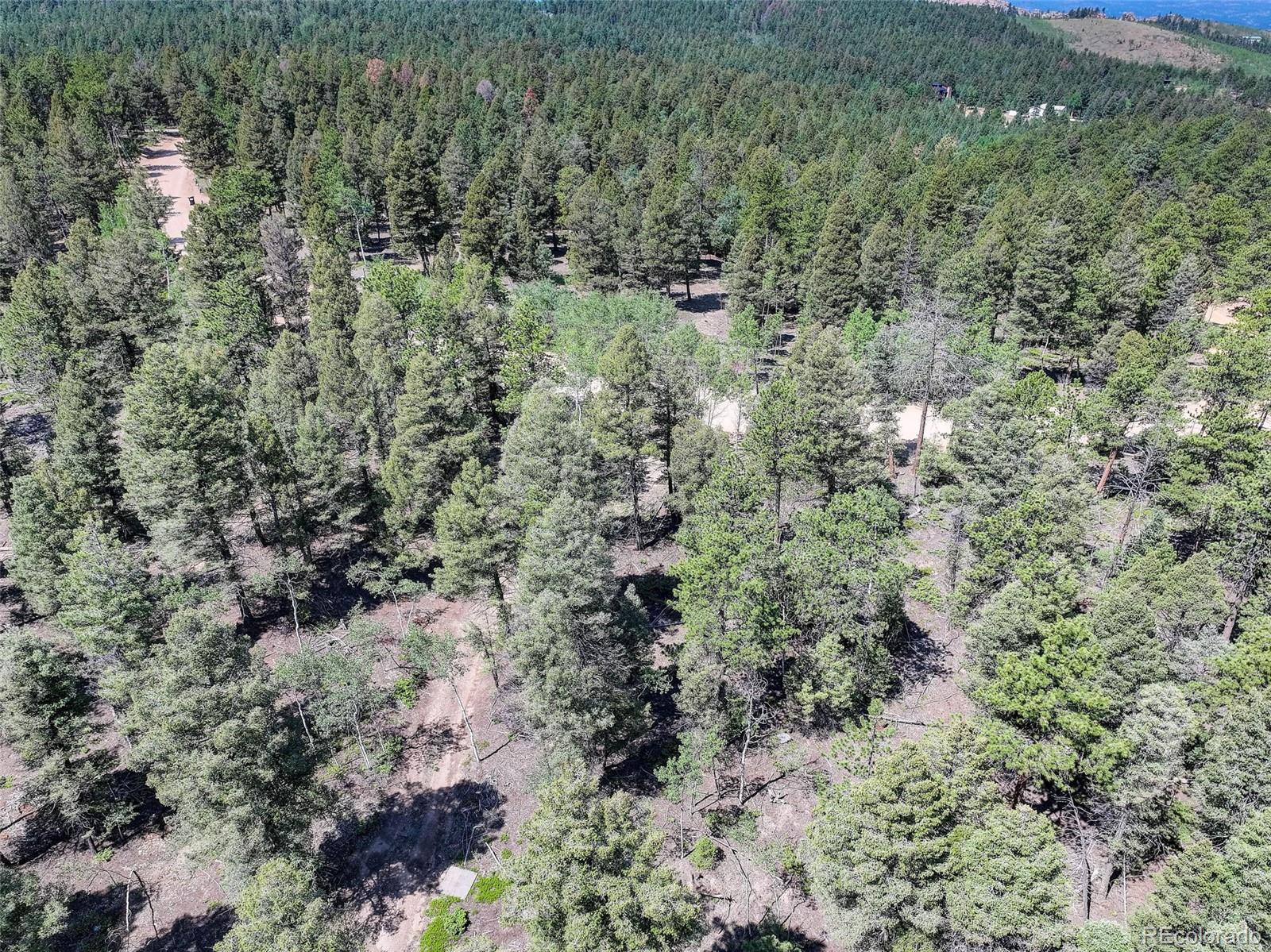 1002 Indian Creek Road Florissant CO 80816