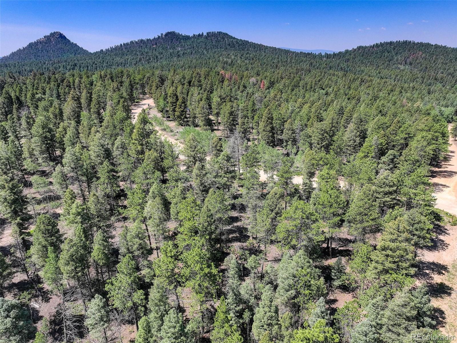 1002 Indian Creek Road Florissant CO 80816