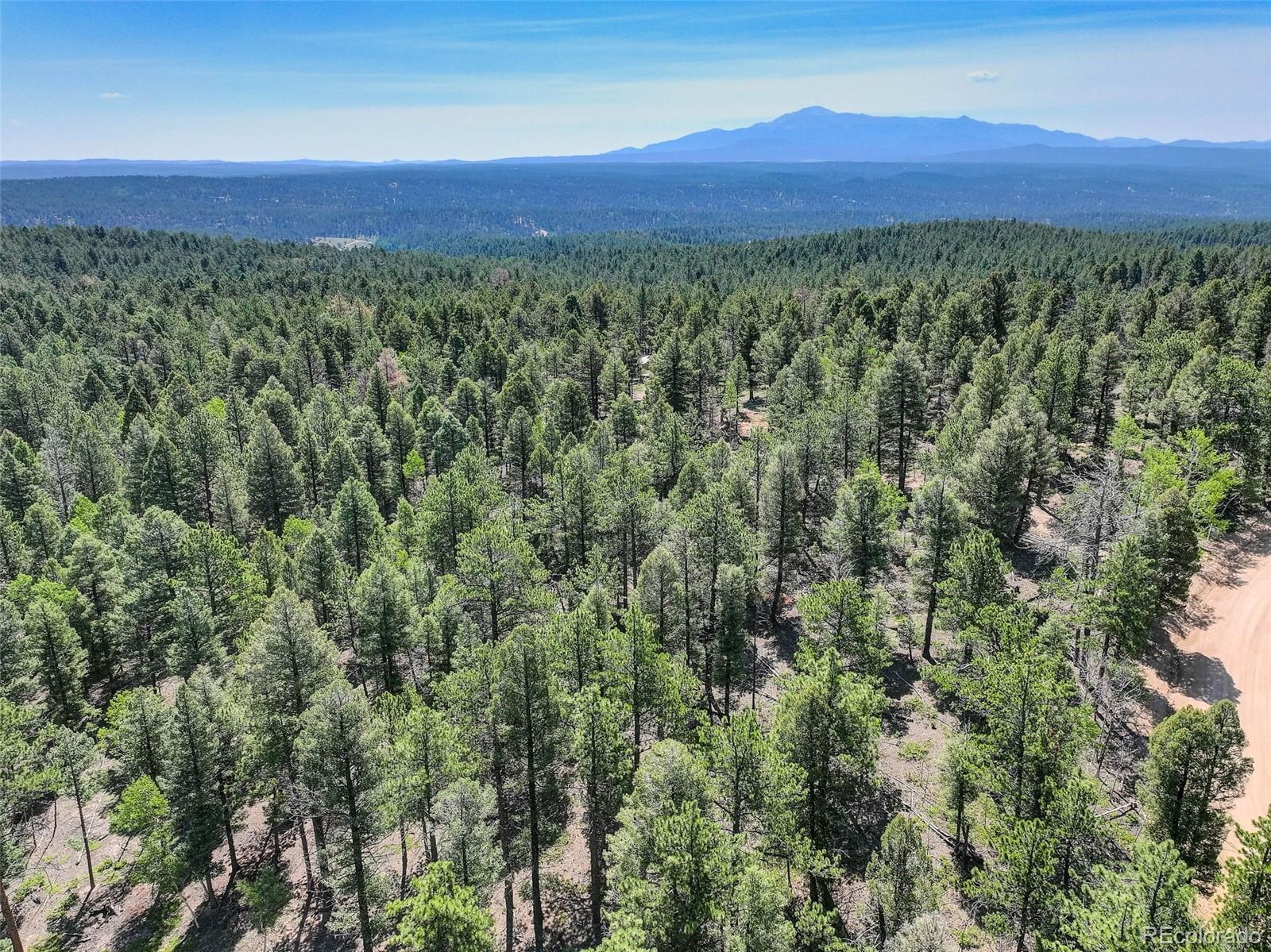 1002 Indian Creek Road Florissant CO 80816