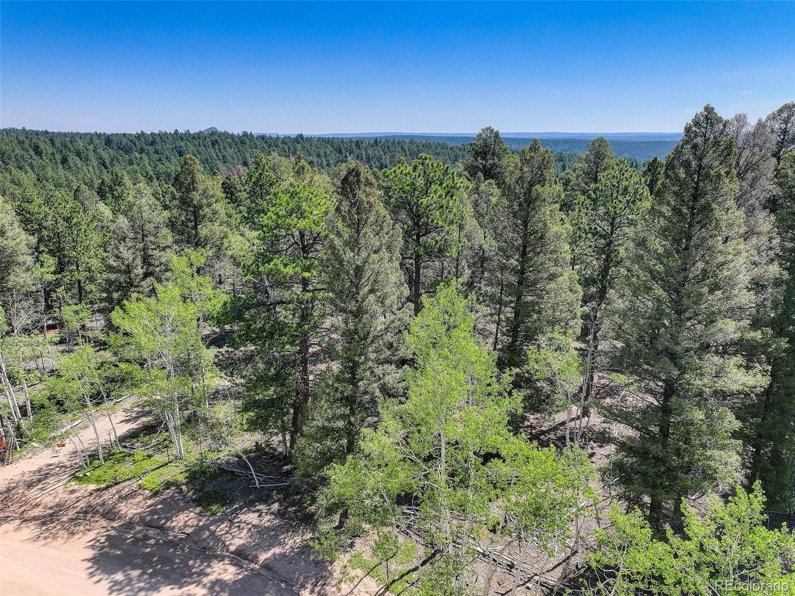 1002 Indian Creek Road Florissant CO 80816