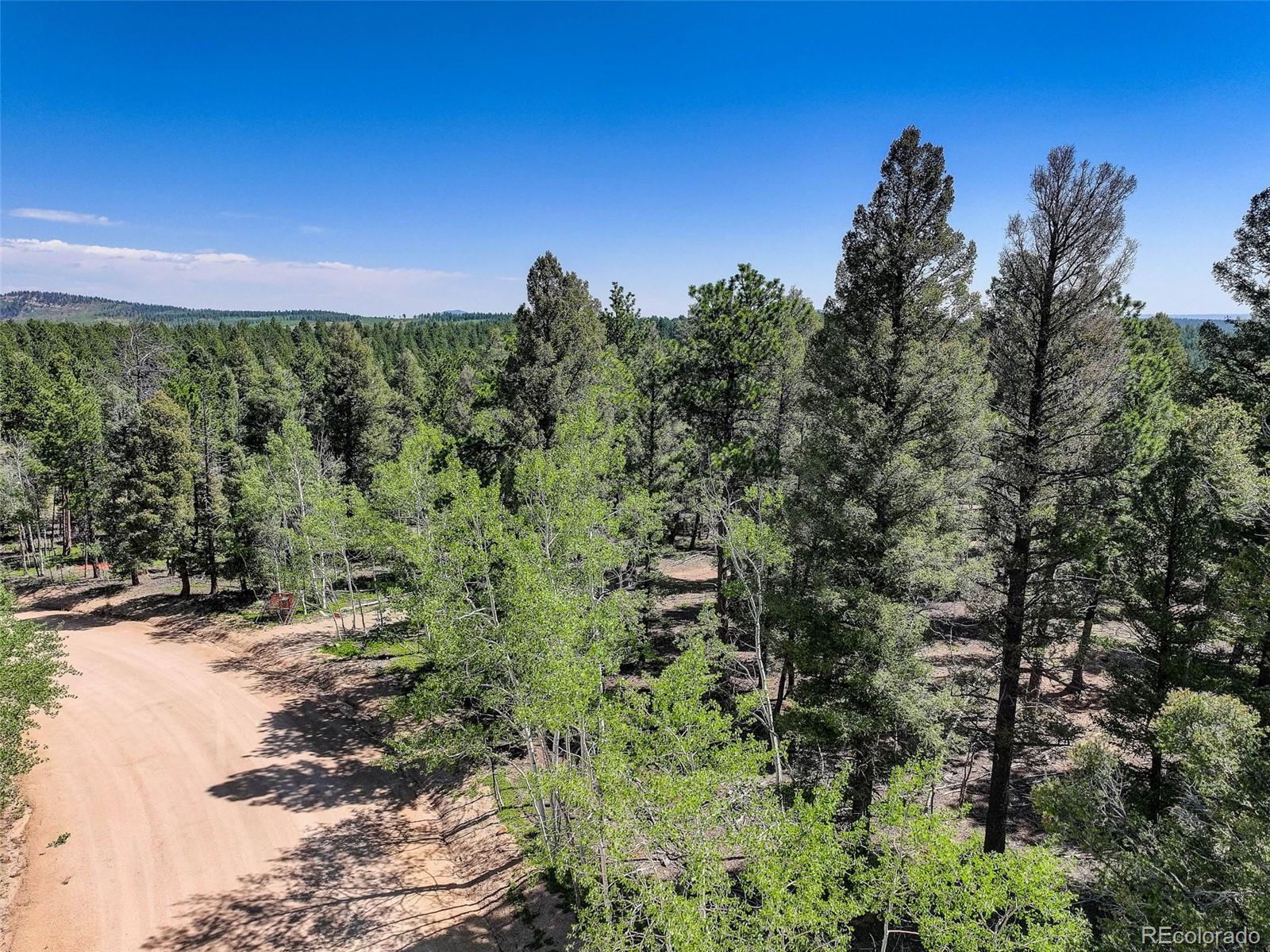 1002 Indian Creek Road Florissant CO 80816