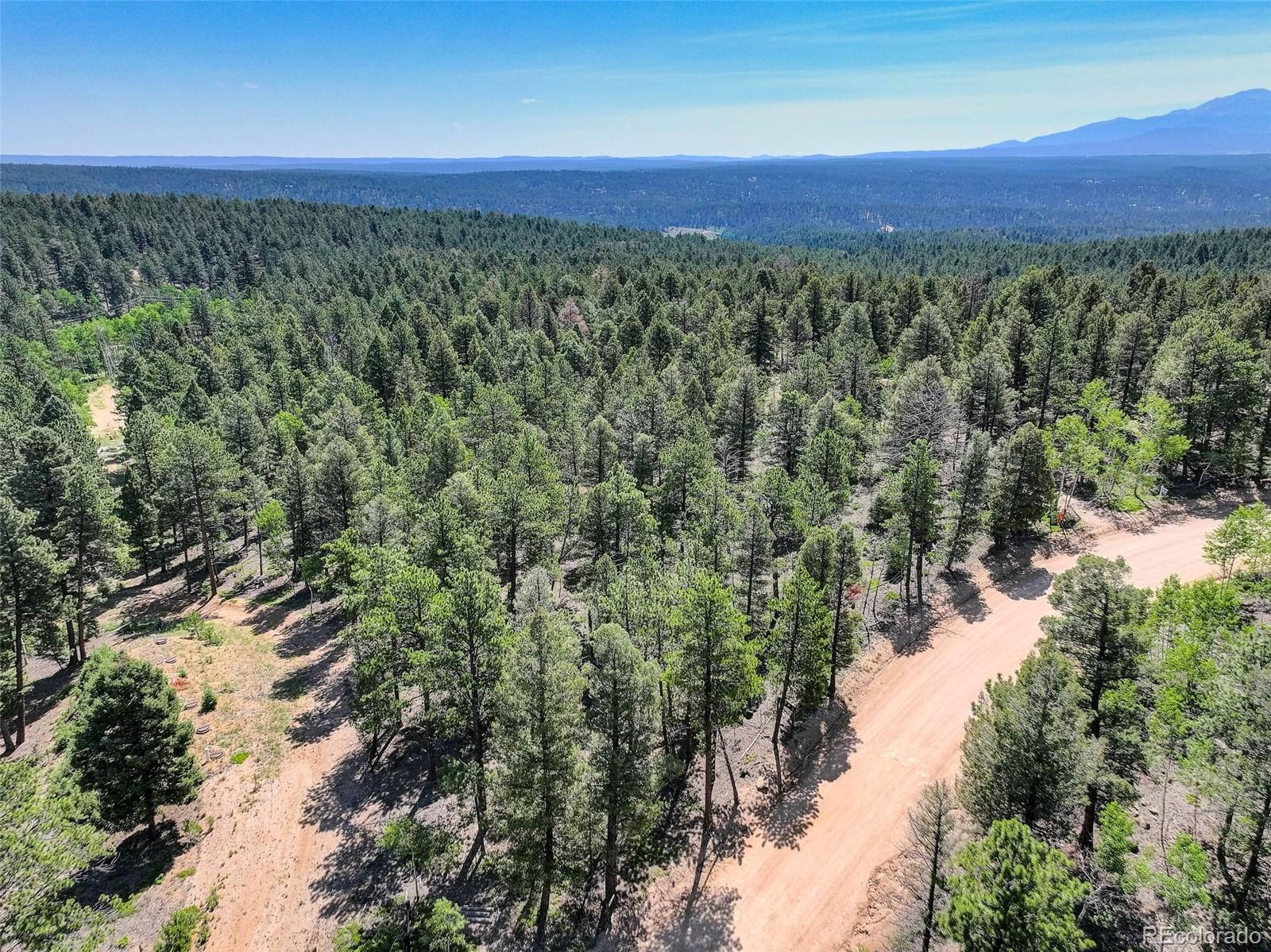 1002 Indian Creek Road Florissant CO 80816