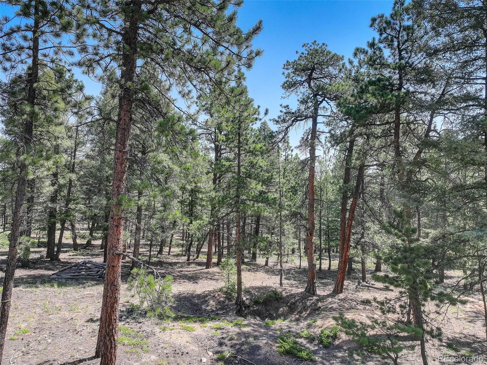 1002 Indian Creek Road Florissant CO 80816