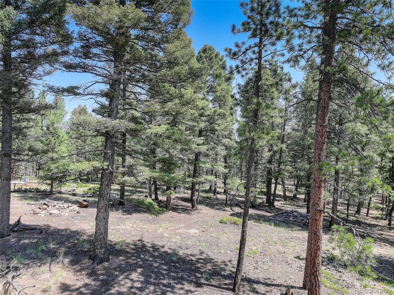 1002 Indian Creek Road Florissant CO 80816