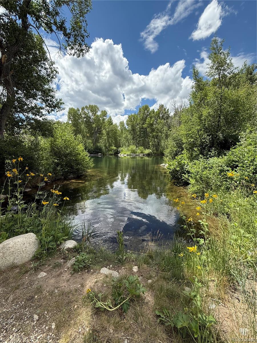 17566 Trout Circle Buena Vista CO 81211