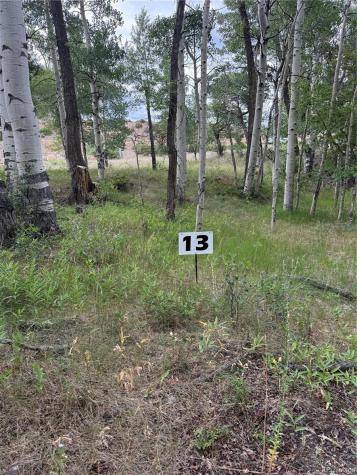 17566 Trout Circle Buena Vista CO 81211