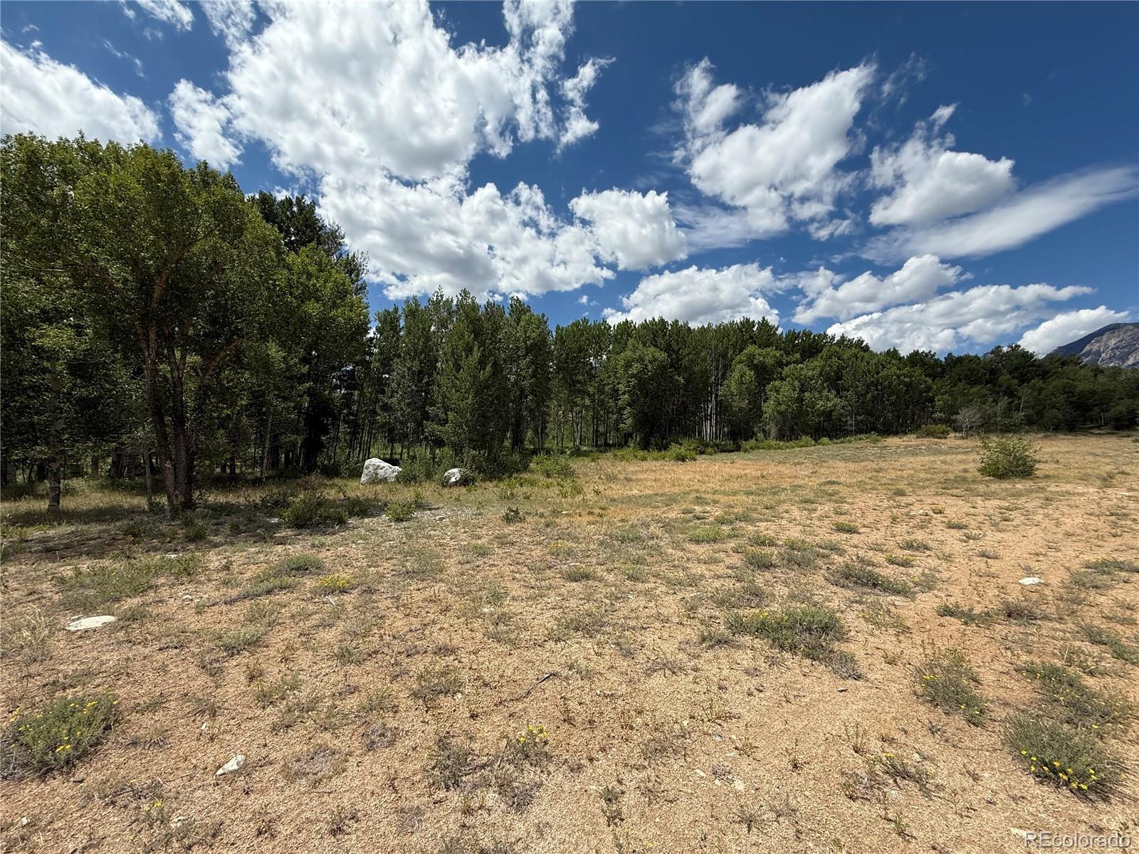 17566 Trout Circle Buena Vista CO 81211