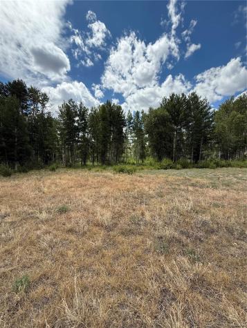 17566 Trout Circle Buena Vista CO 81211