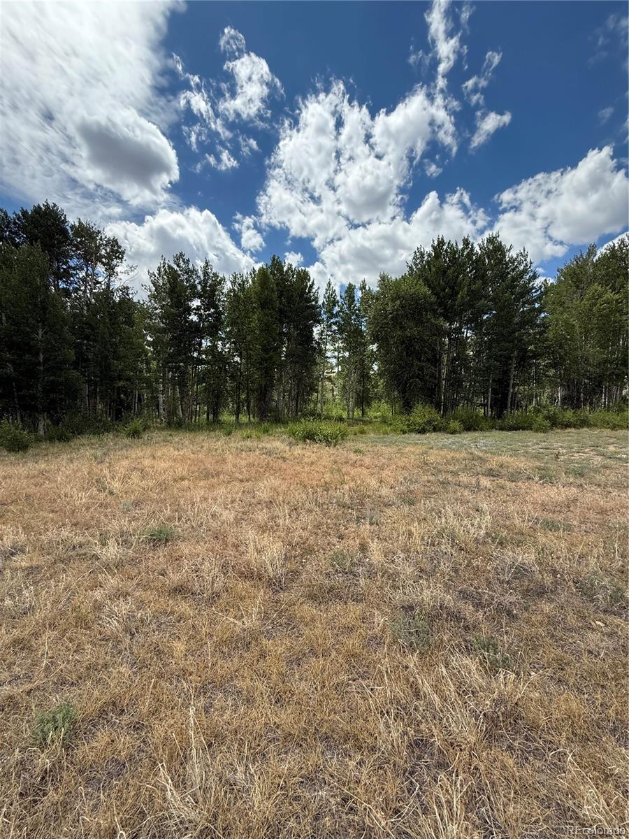 17566 Trout Circle Buena Vista CO 81211