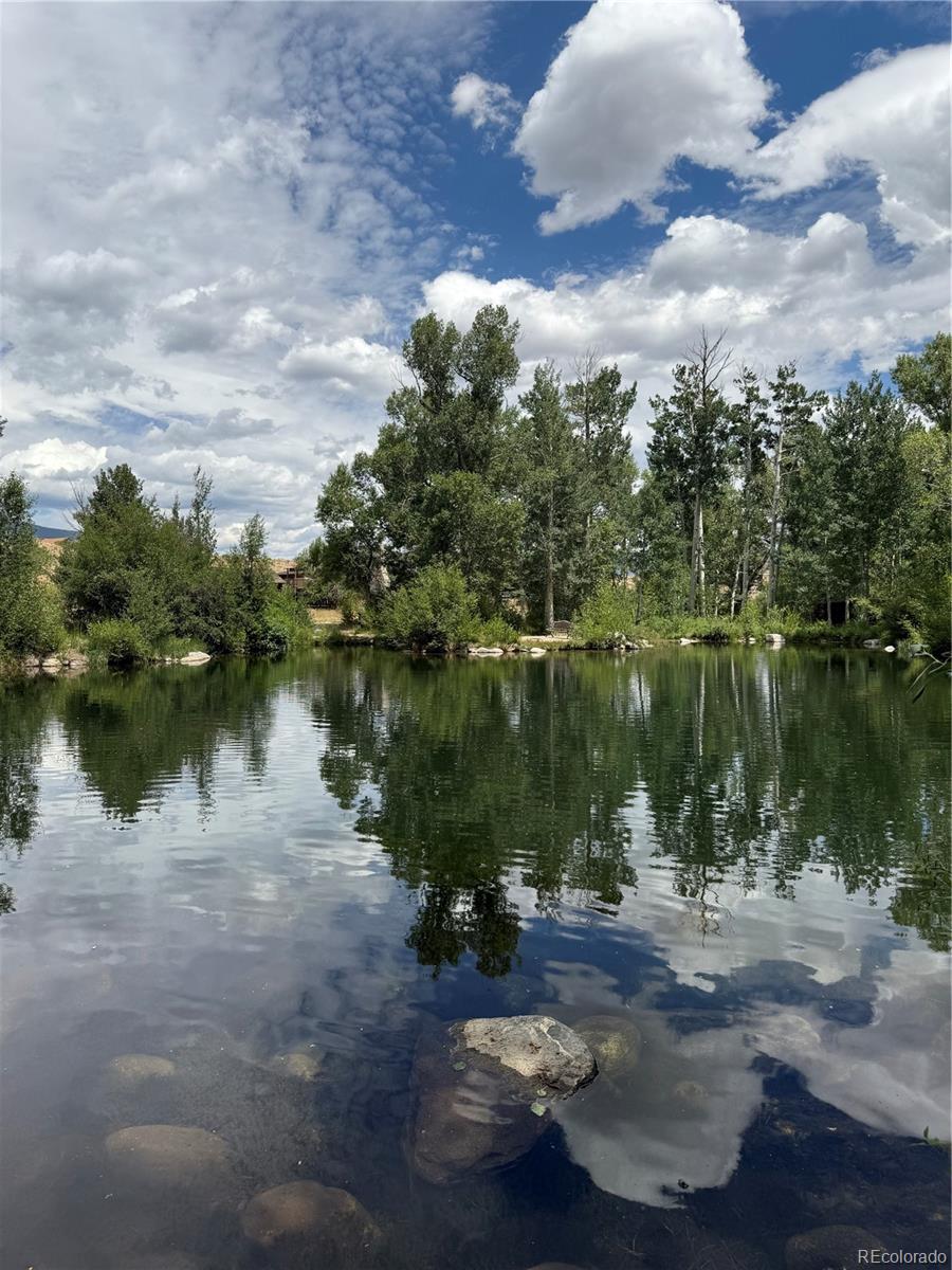 17566 Trout Circle Buena Vista CO 81211