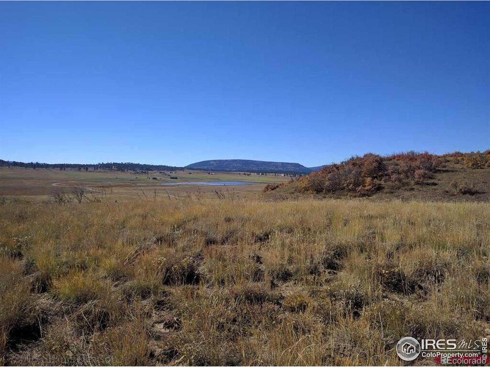 919 Roush Drive Pagosa Springs CO 81147