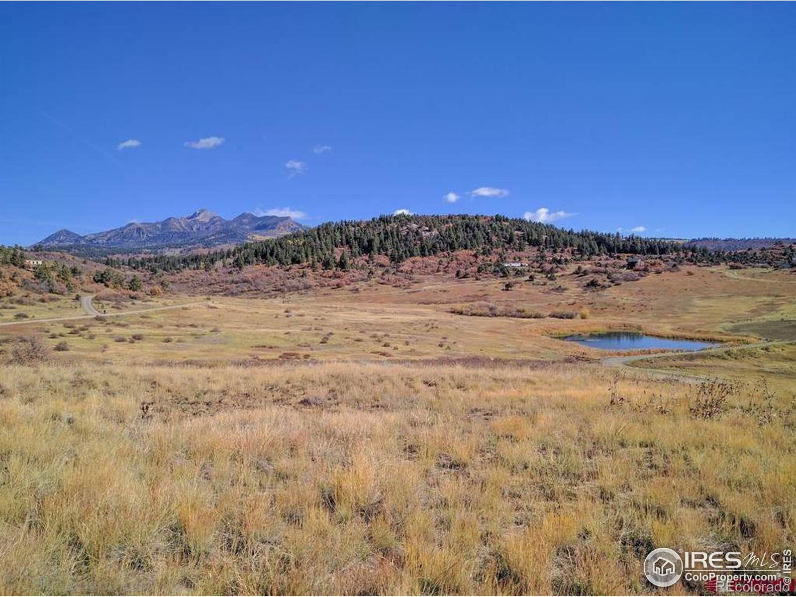 919 Roush Drive Pagosa Springs CO 81147