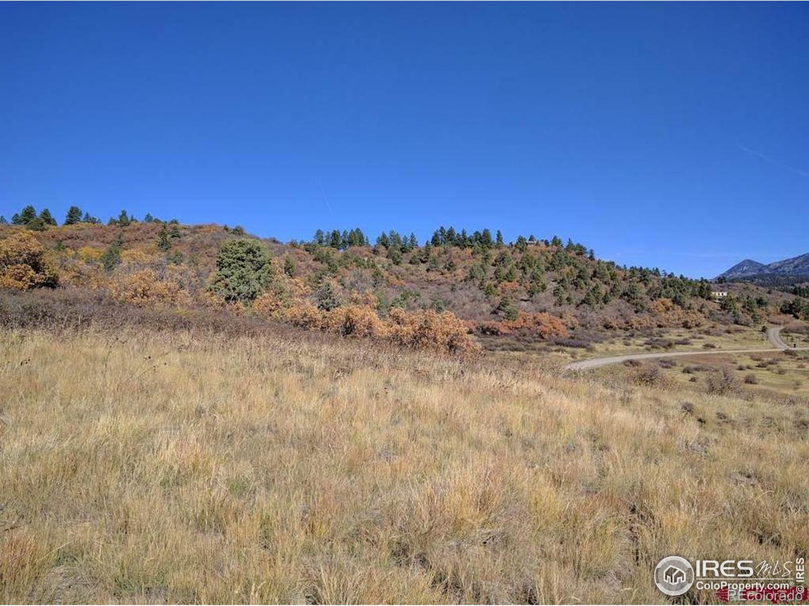 919 Roush Drive Pagosa Springs CO 81147