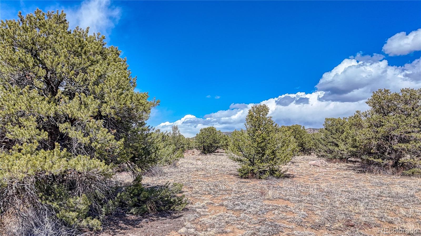 12499 Las Colinas Drive Salida CO 81201