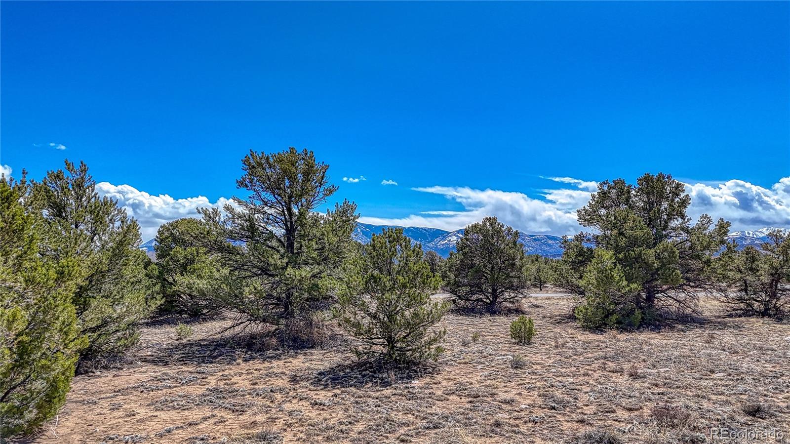 12499 Las Colinas Drive Salida CO 81201