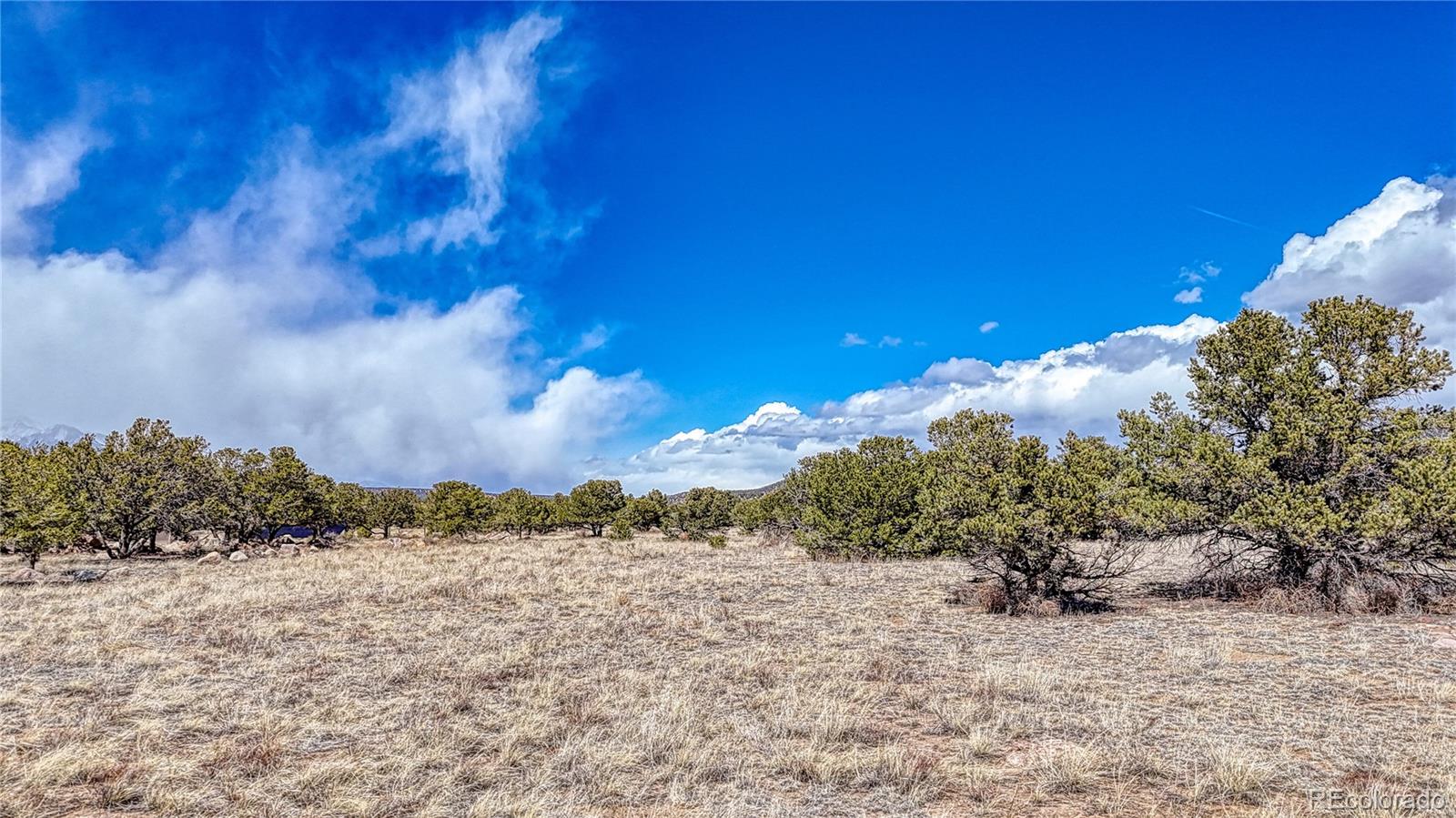 12499 Las Colinas Drive Salida CO 81201
