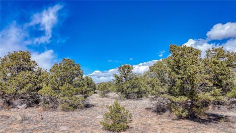 12499 Las Colinas Drive Salida CO 81201