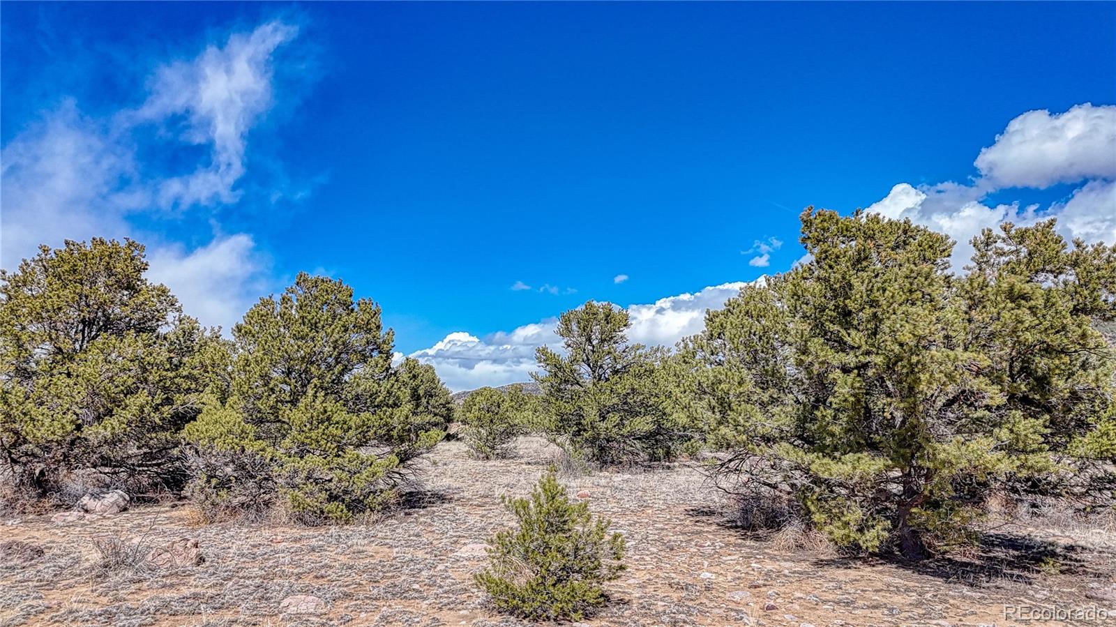 12499 Las Colinas Drive Salida CO 81201