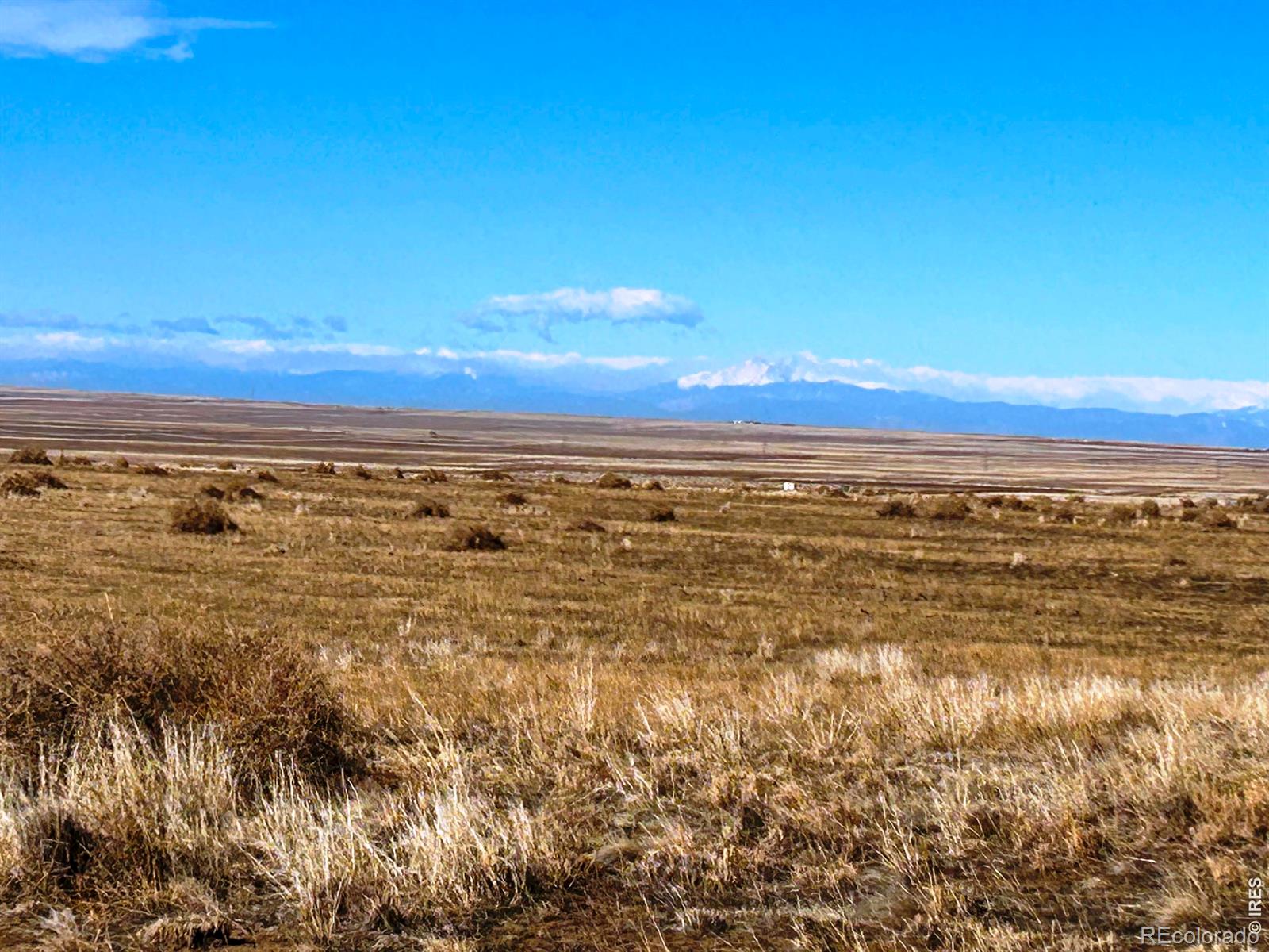 0 County Road 93 Briggsdale CO 80611