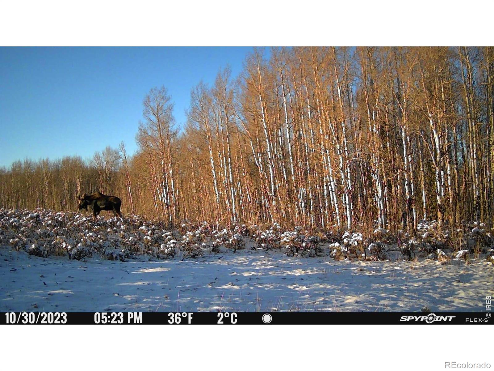 48686 Highway 14 Walden CO 80480
