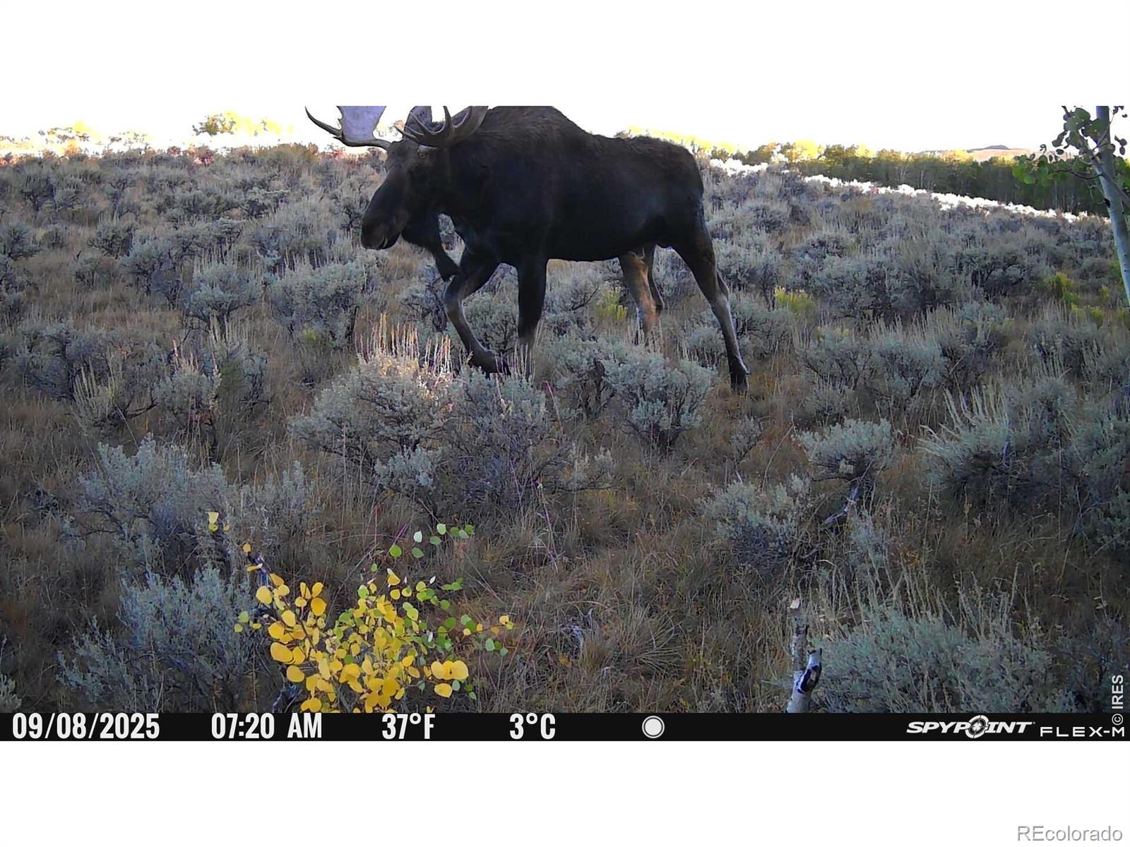 48686 Highway 14 Walden CO 80480