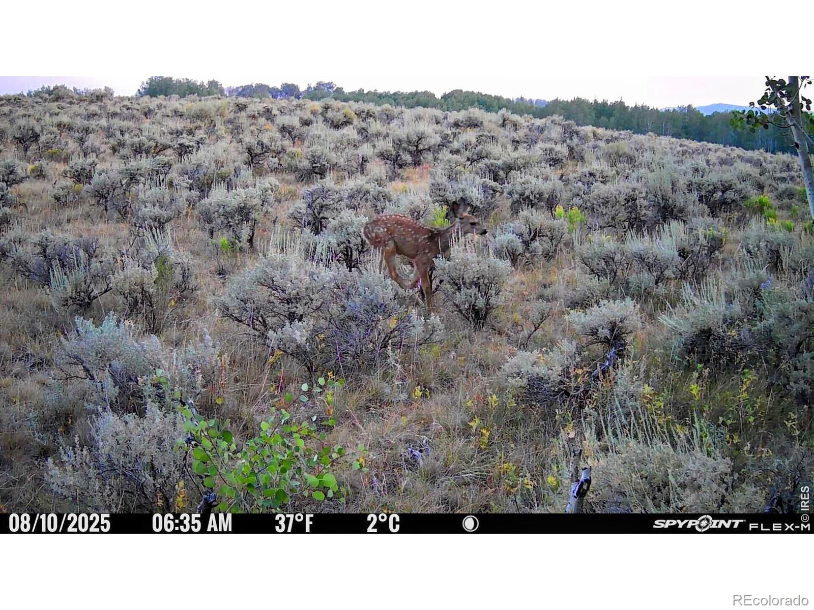 48686 Highway 14 Walden CO 80480