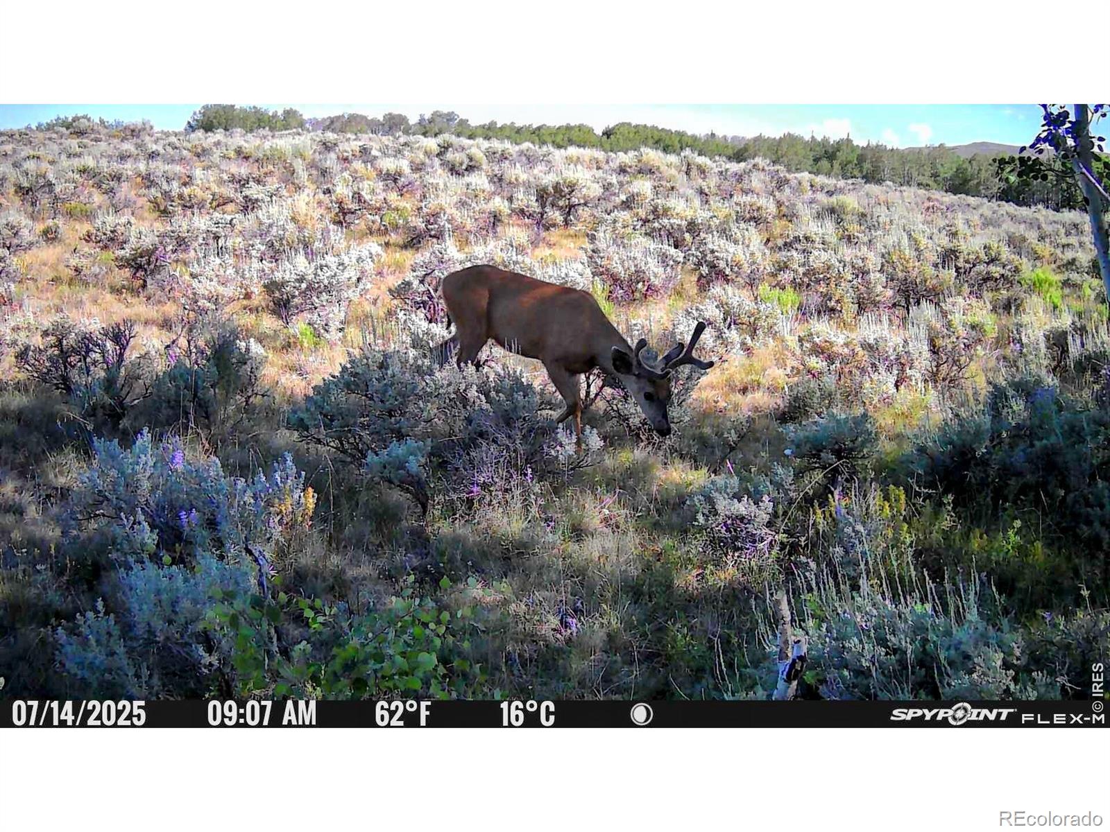 48686 Highway 14 Walden CO 80480