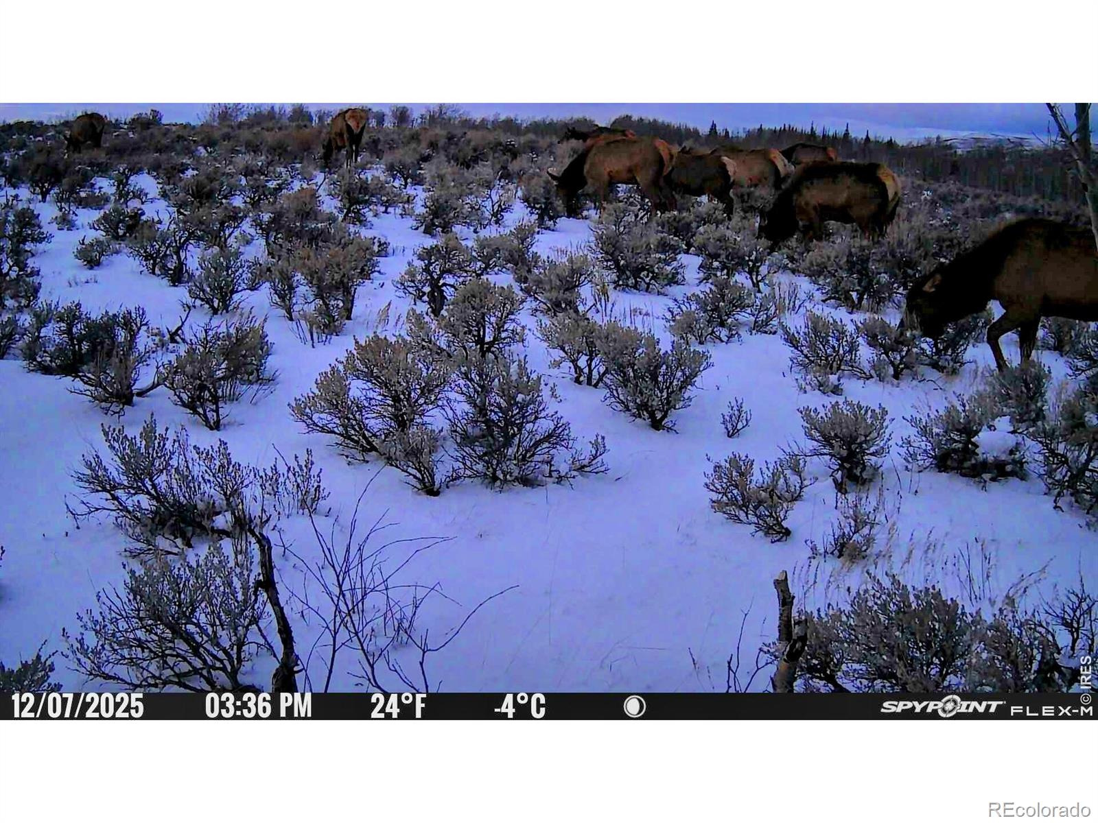 48686 Highway 14 Walden CO 80480