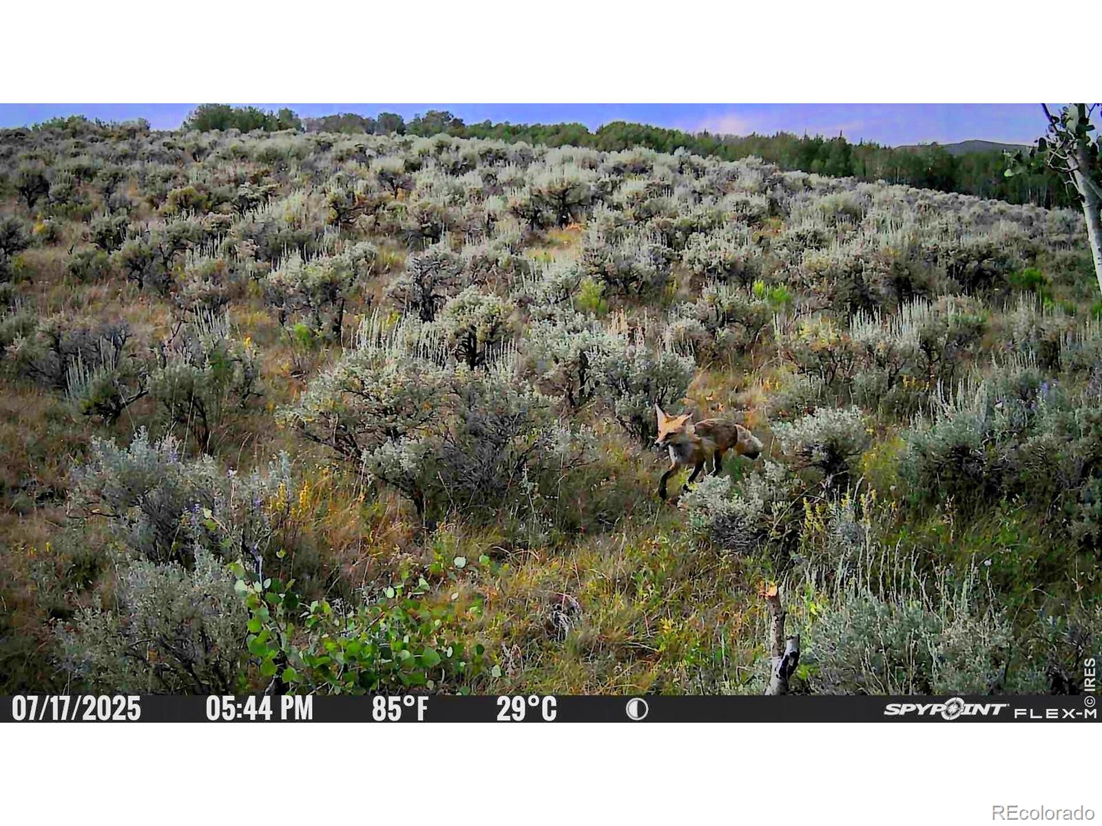 48686 Highway 14 Walden CO 80480