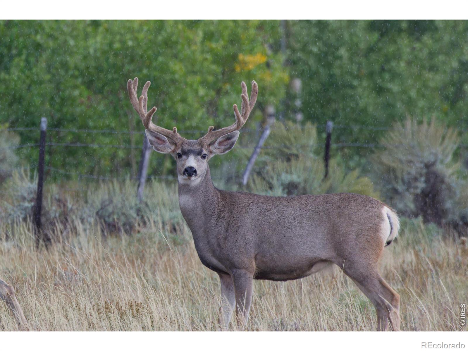 48686 Highway 14 Walden CO 80480