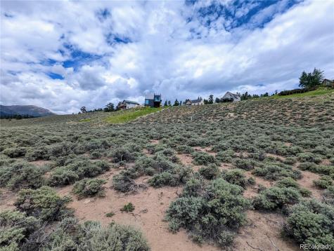 445 Mount Hope Twin Lakes CO 81251